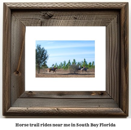 horse trail rides near me in South Bay, Florida